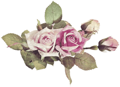 Kaz_Creations Deco  Flowers Colours Victorian - бесплатно png