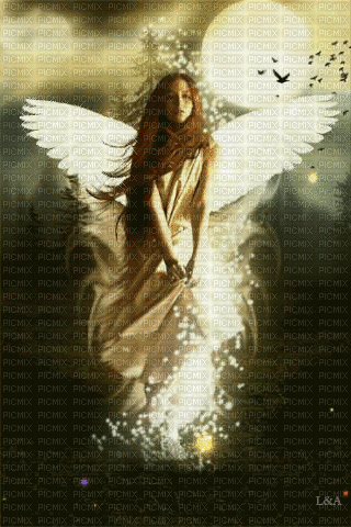 Angel - GIF animado gratis