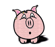 crying pork - Darmowy animowany GIF