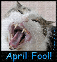 April fools day - Gratis animeret GIF