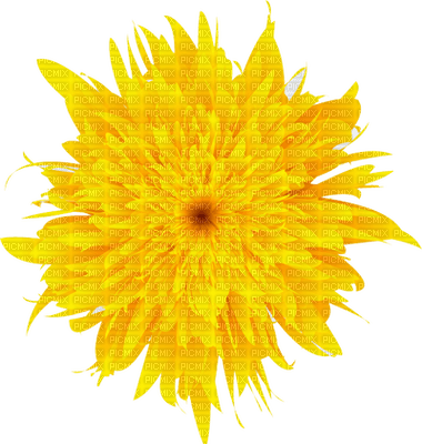 Kaz_Creations Deco Flowers Dandelion Flower - zadarmo png