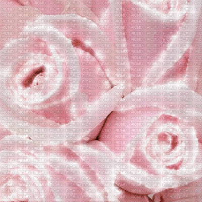 Roses Animated Background - Gratis animerad GIF