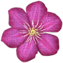 fiore - png gratuito