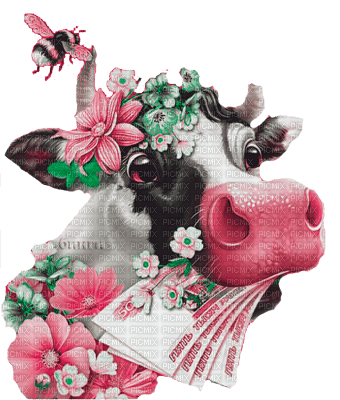 Y.A.M._New year cow - png gratuito