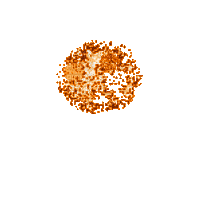 fet orange - GIF animado grátis
