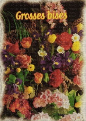 FLEURS GROS BISOUS - 免费PNG