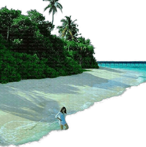 Insel - PNG gratuit