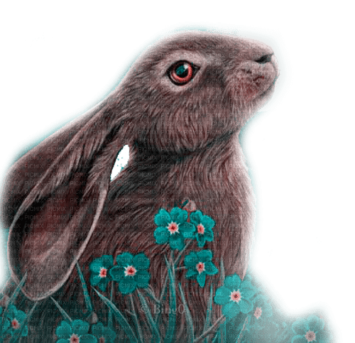Y.A.M._Animals hare rabbit - PNG gratuit