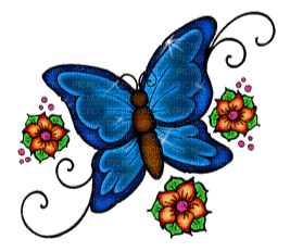 Schmetterling - Gratis animeret GIF