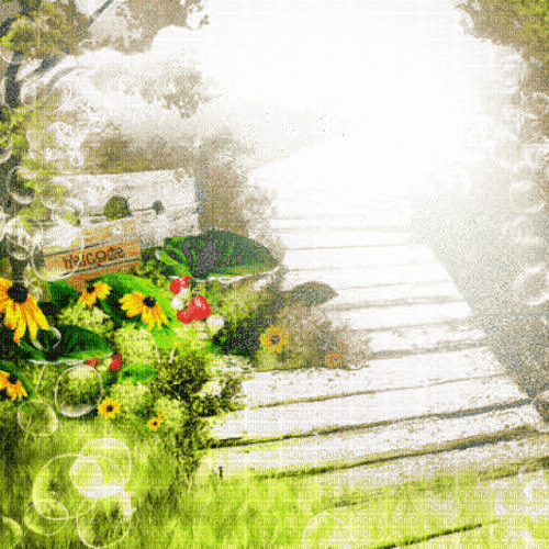 ..:::BG/Frame Spring Green Garden:::.. - 無料png