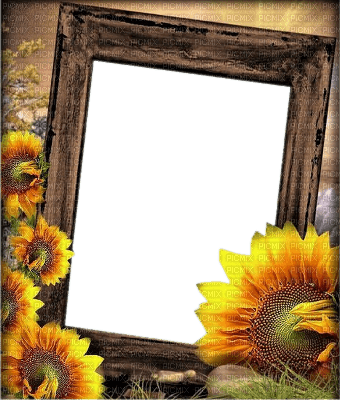 autumn frame - 免费PNG