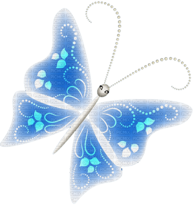 Butterfly- pages -2 - Free PNG