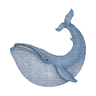 Blue Whale Emoji - Бесплатный анимированный гифка