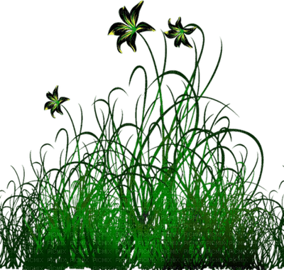 Grass, Flower, Flowers, Green - Jitter.Bug.Girl - besplatni png