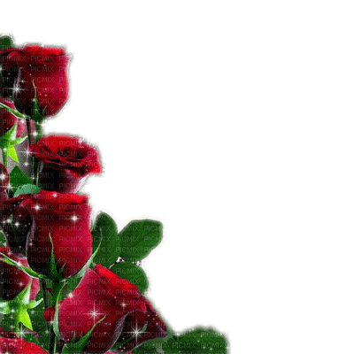 Red roses - bezmaksas png