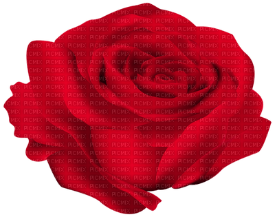 Red rose - 免费PNG