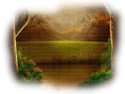 paysage automne - 無料png