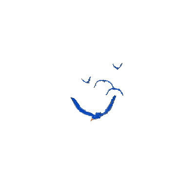pajaros azules gif  dubravka4 - GIF animasi gratis