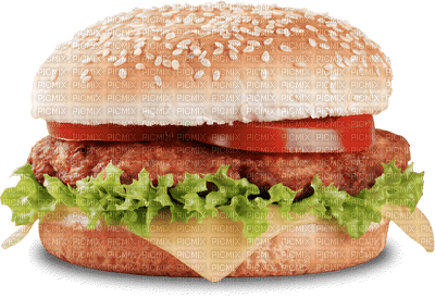 Burger - nemokama png
