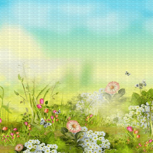 Y.A.M._Summer background - zdarma png