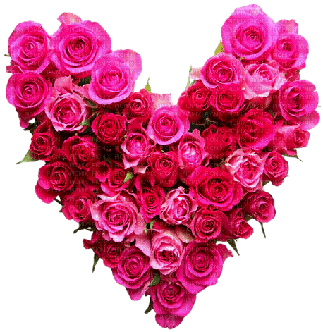 Heart.Roses.Pink - ingyenes png