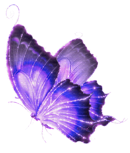 Y.A.M._Fantasy butterfly purple - GIF เคลื่อนไหวฟรี