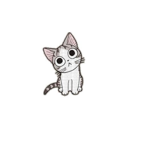 ..:::Chi the cat:::.. - ilmainen png