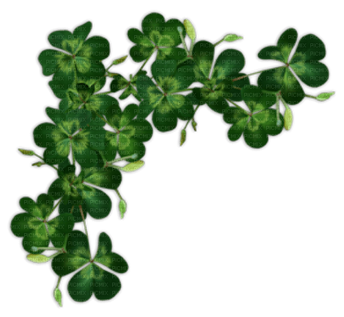 Clovers - zadarmo png