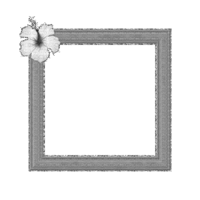 Small Grey Gray Frame - Animovaný GIF zadarmo