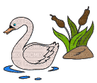 swan - Nemokamas animacinis gif