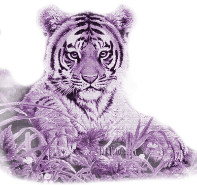 Y.A.M._Animals tiger purple - Free PNG
