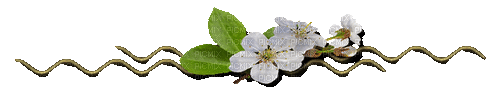 Flower Decoration - GIF animé gratuit