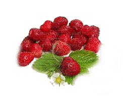Kaz_Creations Deco Fruit Strawberries - PNG gratuit