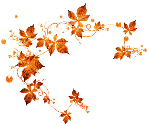 Leaves.Orange - PNG gratuit
