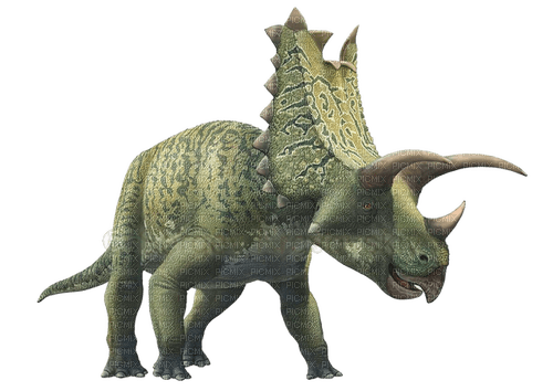 Triceratops milla1959 - zadarmo png