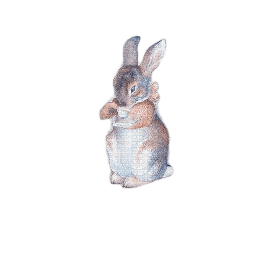 hase rabbit milla1959 - δωρεάν png