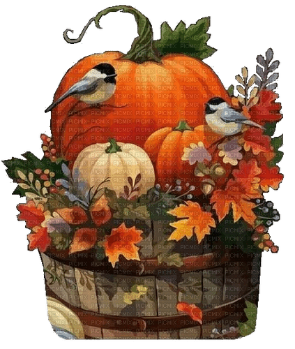 nbl-autumn pumpkin - 無料png