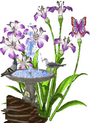 Garden Birdbath Fountain Animated - GIF animasi gratis