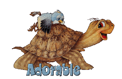 cecily-tortue oiseau anime - Gratis geanimeerde GIF