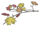 autumn - Besplatni animirani GIF