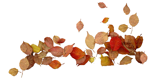 Autumn Leaves - Kostenlose animierte GIFs