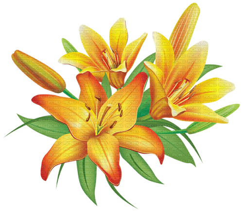 Kaz_Creations Flowers-Fleurs - PNG gratuit