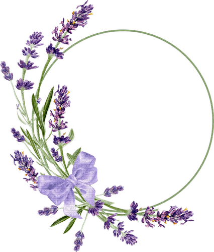 Lavender Frame - бесплатно png