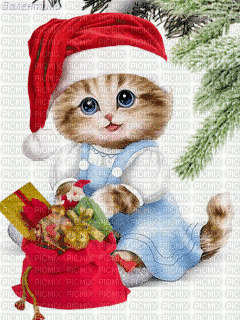 MMarcia gif natal christmas  cat - GIF animado gratis