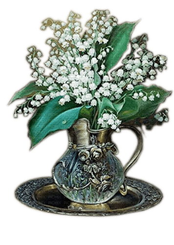 Rena Maiglöckchen Blumen Vase Frühling - png ฟรี