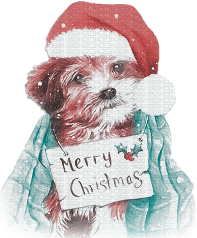 soave dog christmas winter text animals deco - zdarma png