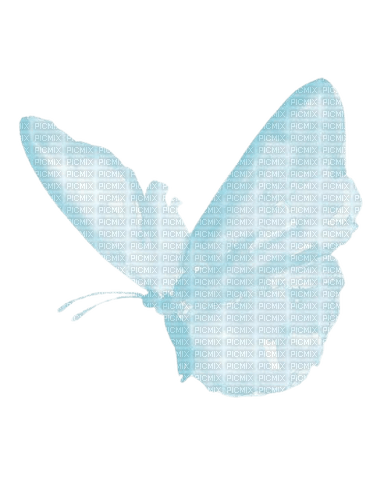 blue butterfly - png grátis
