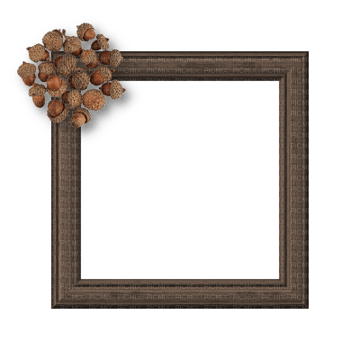 Small Brown Frame - zadarmo png