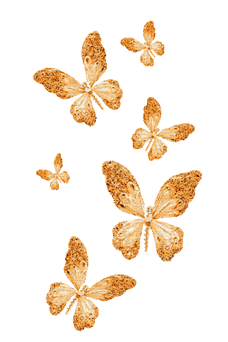 Animated.Butterflies.Orange - By KittyKatLuv65 - Δωρεάν κινούμενο GIF