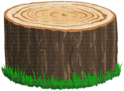 Tree stump - zdarma png